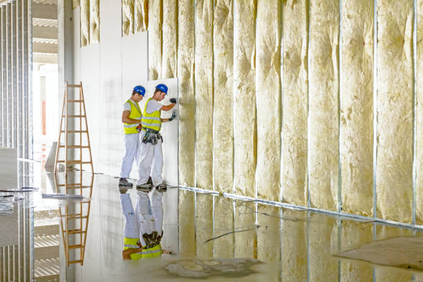 Best Professional Insulation Contractor  in Dover, NJ